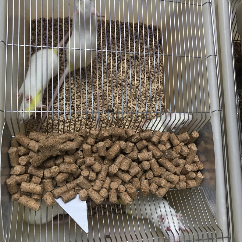 ����ʵ����װ��